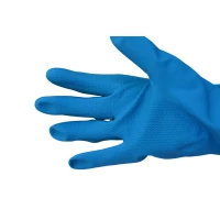 Lined Gloves