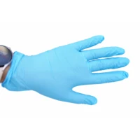 Nitrile Gloves