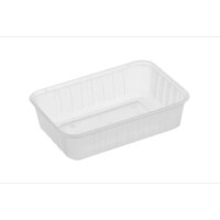 Rectangle Plastic Container Natural