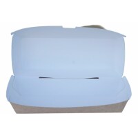 large bioboard container