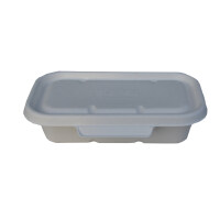 biodegradable container